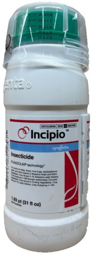 (image for) Incipio Insecticide - 31 Ounces