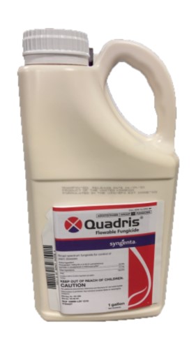 Quadris Fungicide - 1 Gallon (same AI as Abound, Acadia 2SC, Azoxystar ...