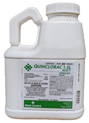 Quinclorac 1.5L Herbicide - 0.5 Gallon (Replaces Drive XLR8) - Replaced by  Quintessential [89442-12] - $57.95 : Keystone Pest Solutions, Low cost  herbicides